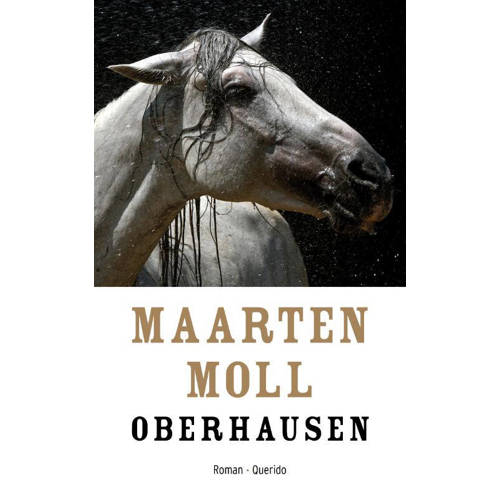 Oberhausen Maarten Moll huismerk kopen in de aanbieding