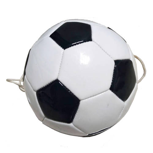 Sportx Trainingsbal sportx kopen in de aanbieding Sportx Trainingsbal sportx kopen in de aanbieding
