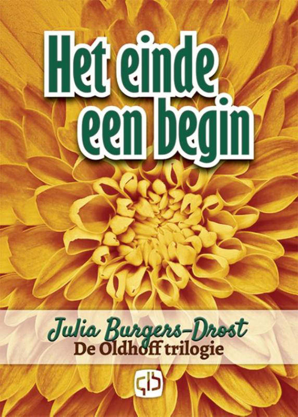 Het einde een begin - grote letter uitgave - Julia Burgers-Drost