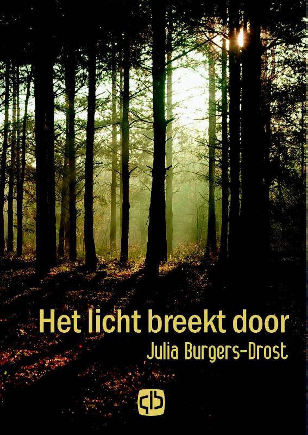 Het licht breekt door - Julia Burgers-Drost