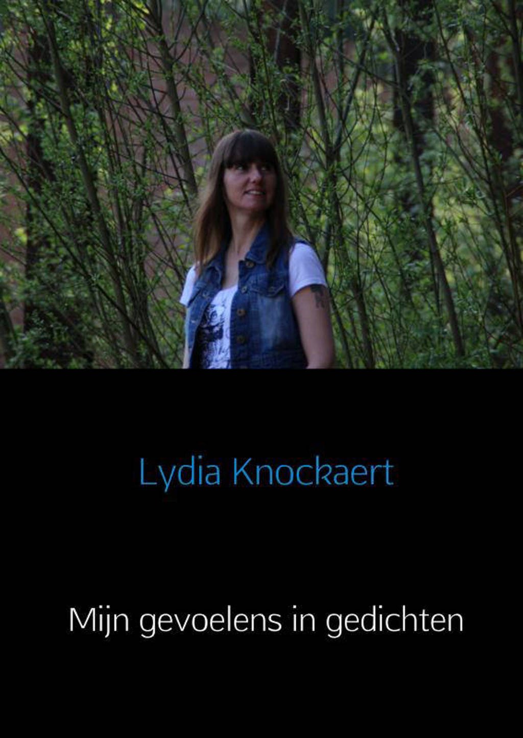 Mijn gevoelens in gedichten - Lydia Knockaert