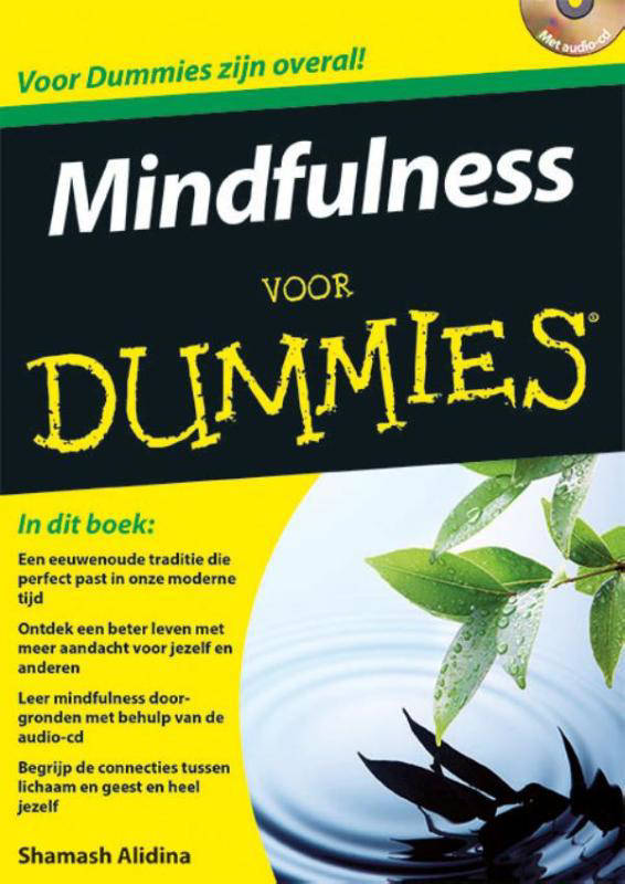 Shamash Alidina Voor Dummies: Mindfulness Voor Dummies | Wehkamp