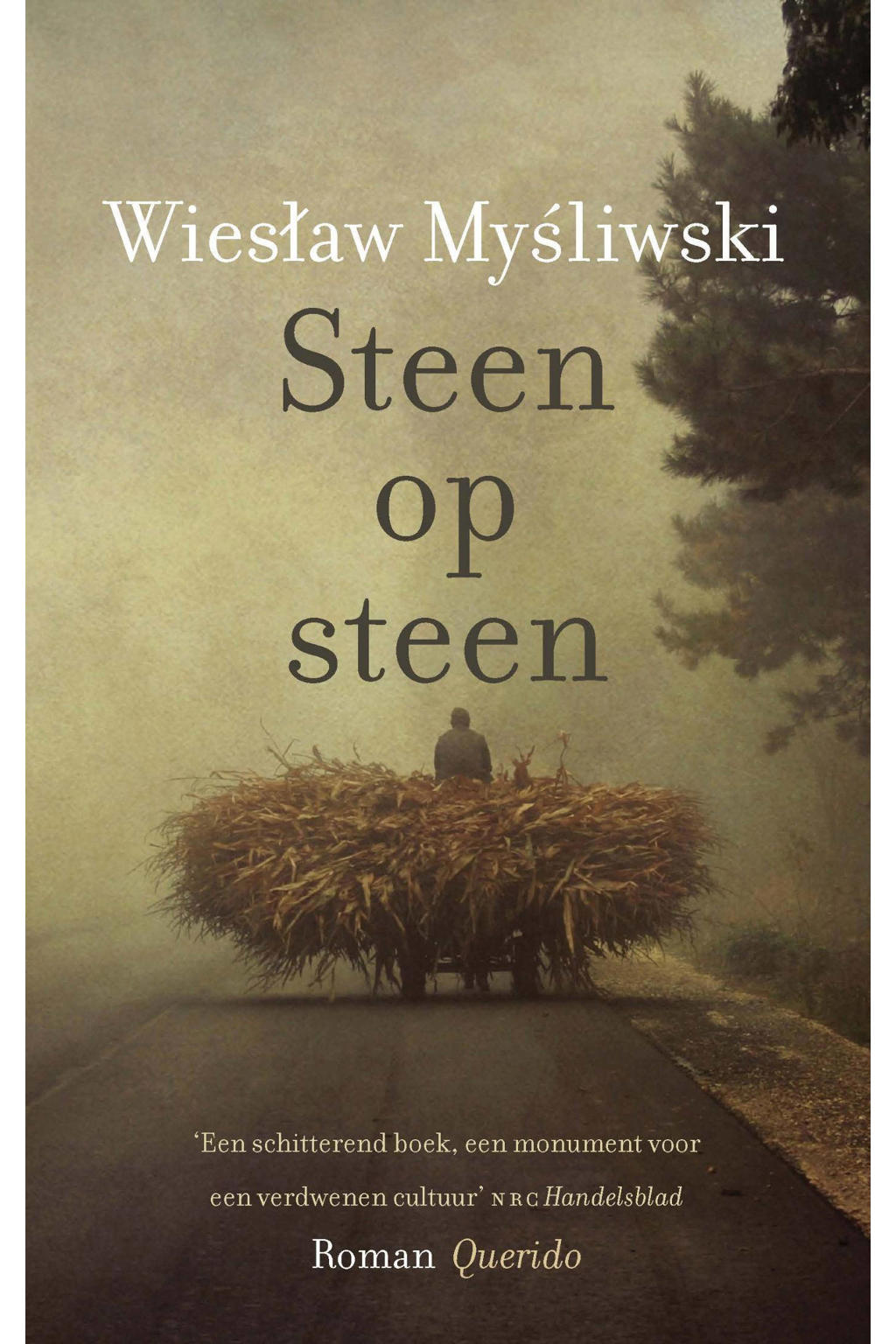 Wieslaw Mysliwski Steen op steen wehkamp