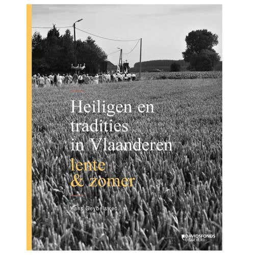 Heiligen En Tradities In Vlaanderen huismerk kopen in de aanbieding