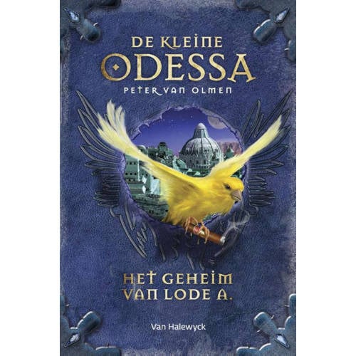 De Kleine Odessa Het Geheim Van Lode A Peter Olmen huismerk kopen in de aanbieding