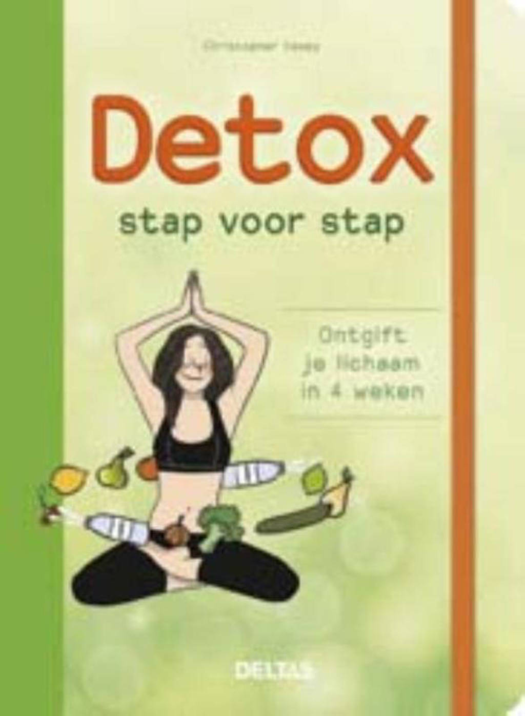 Detox stap voor stap - Christopher Vasey
