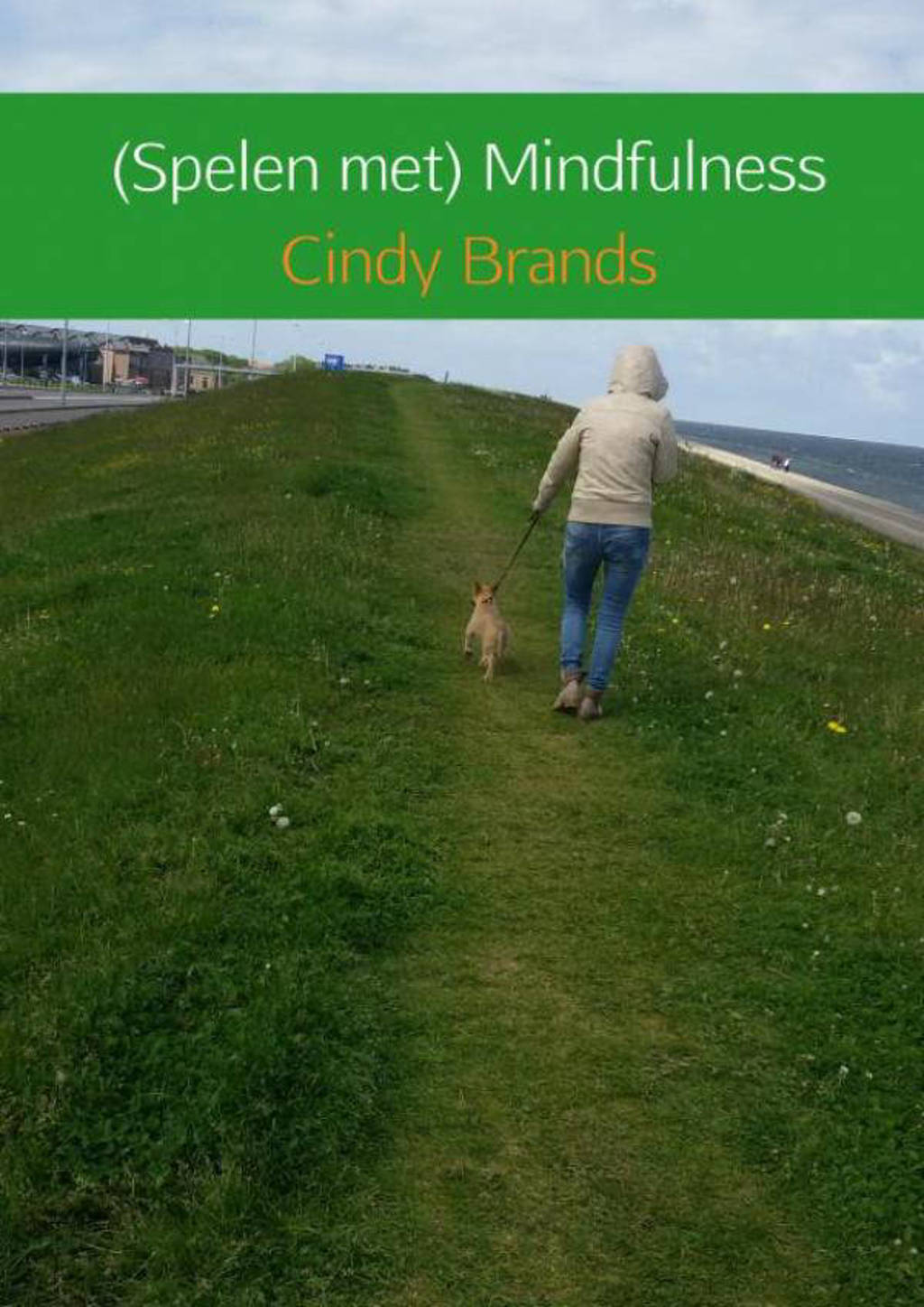 Spelen met mindfulness - Cindy Brands