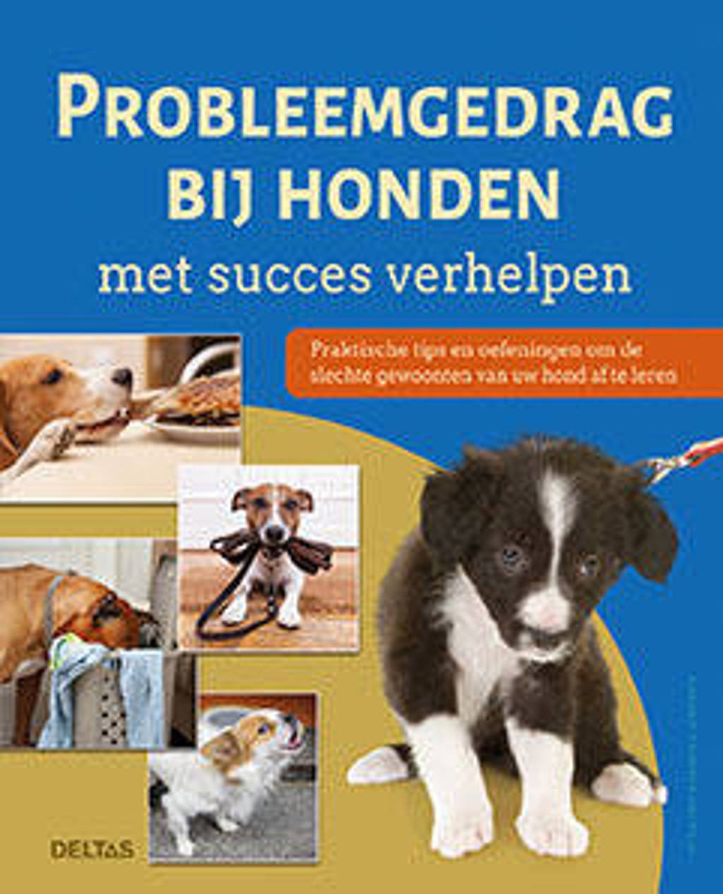 Probleemgedrag bij honden met succes verhelpen - Petra Krivy en Angelika Lanzerath