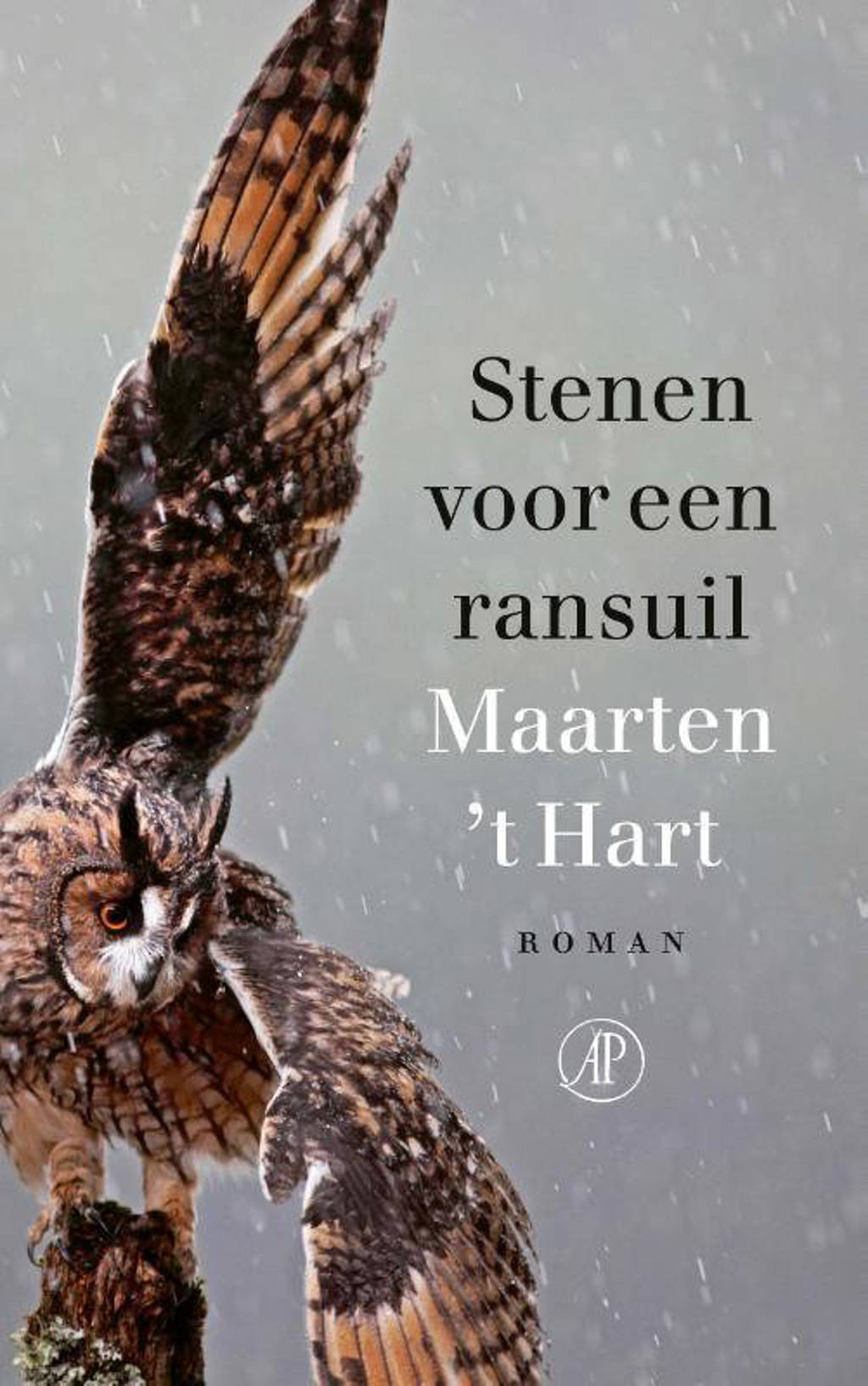 Stenen voor een ransuil - Maarten 't Hart