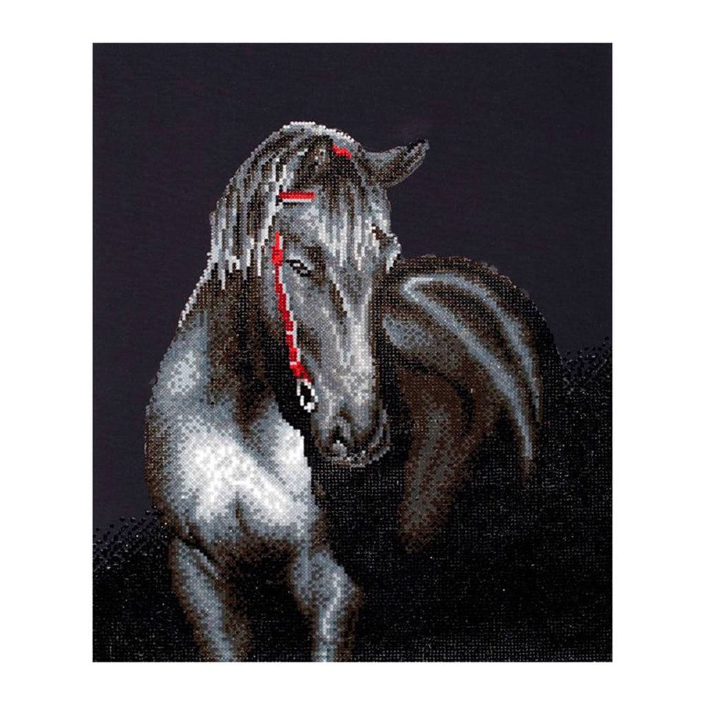 Diamond Dotz middernacht hengst 53x42 cm