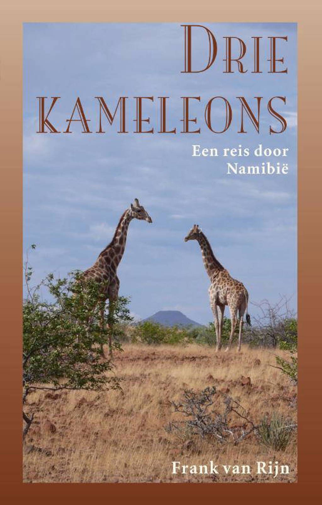 Drie kameleons - Frank van Rijn