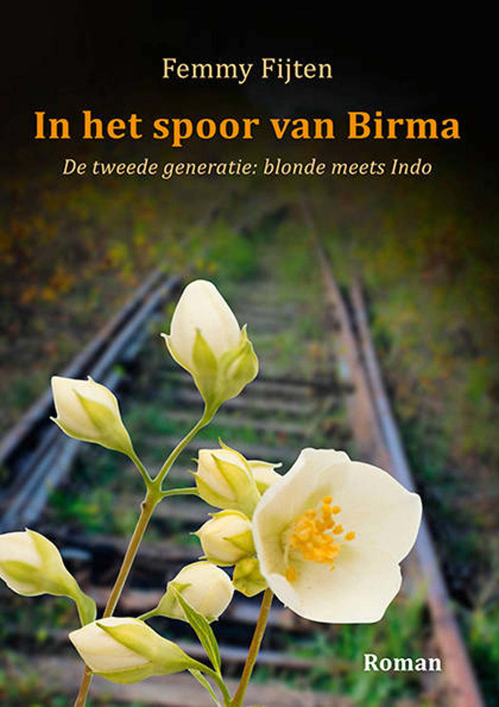 In het spoor van Birma - Femmy Fijten
