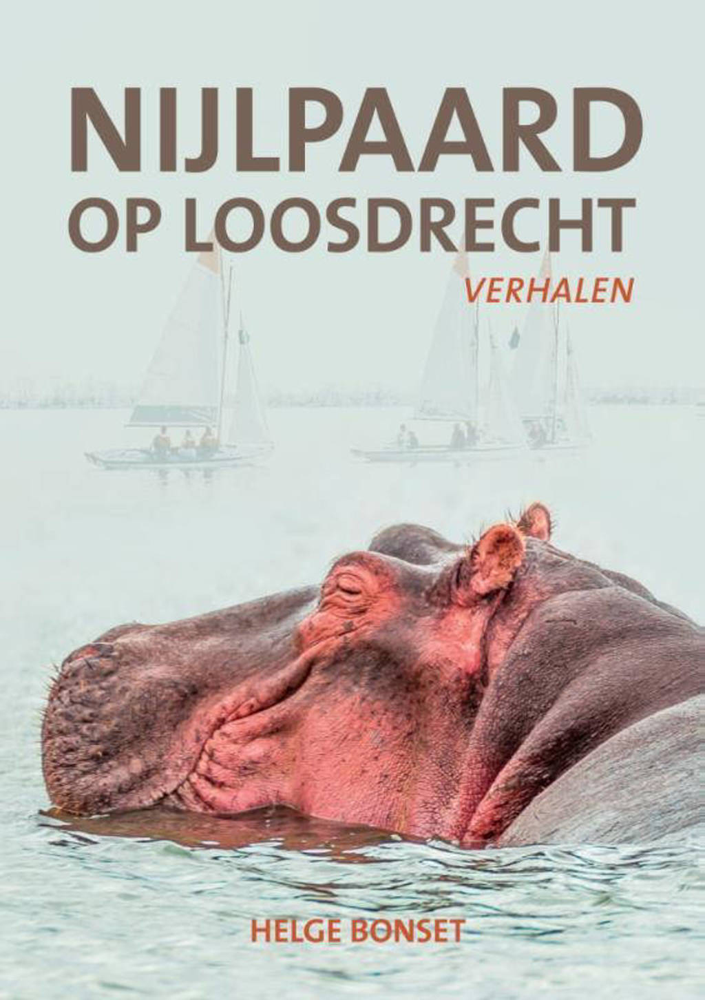 Nijlpaard op Loosdrecht - Helge Bonset