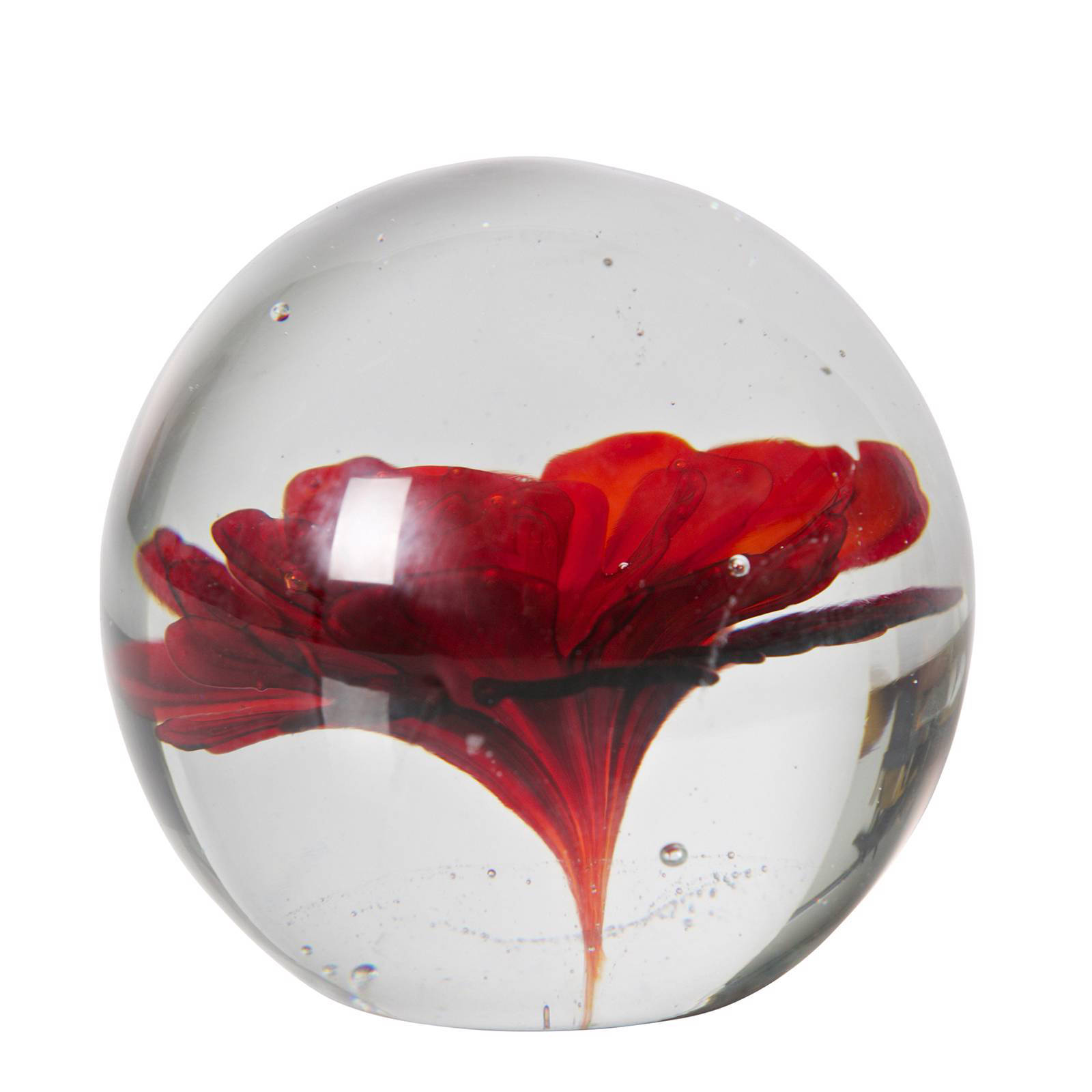 BePureHome bloem in glas Botanics rood online kopen
