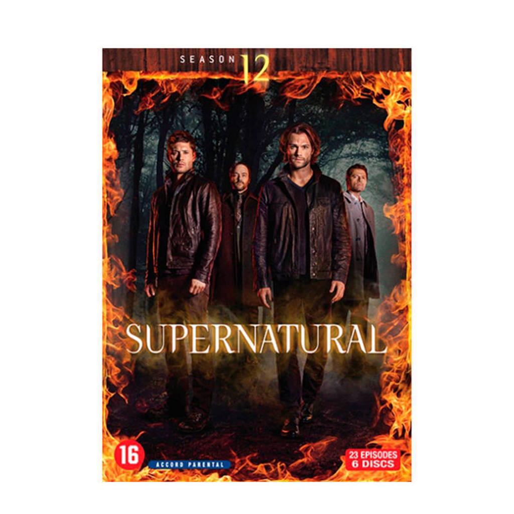 Supernatural - Seizoen 12 (DVD)