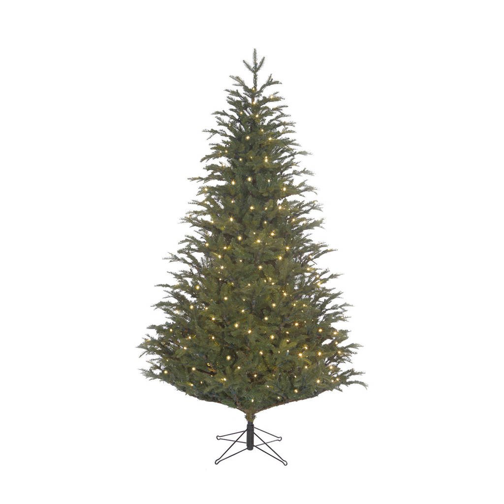 Black Box Trees verlichte kerstboom Frasier (h185 x Ø124 cm), Ja