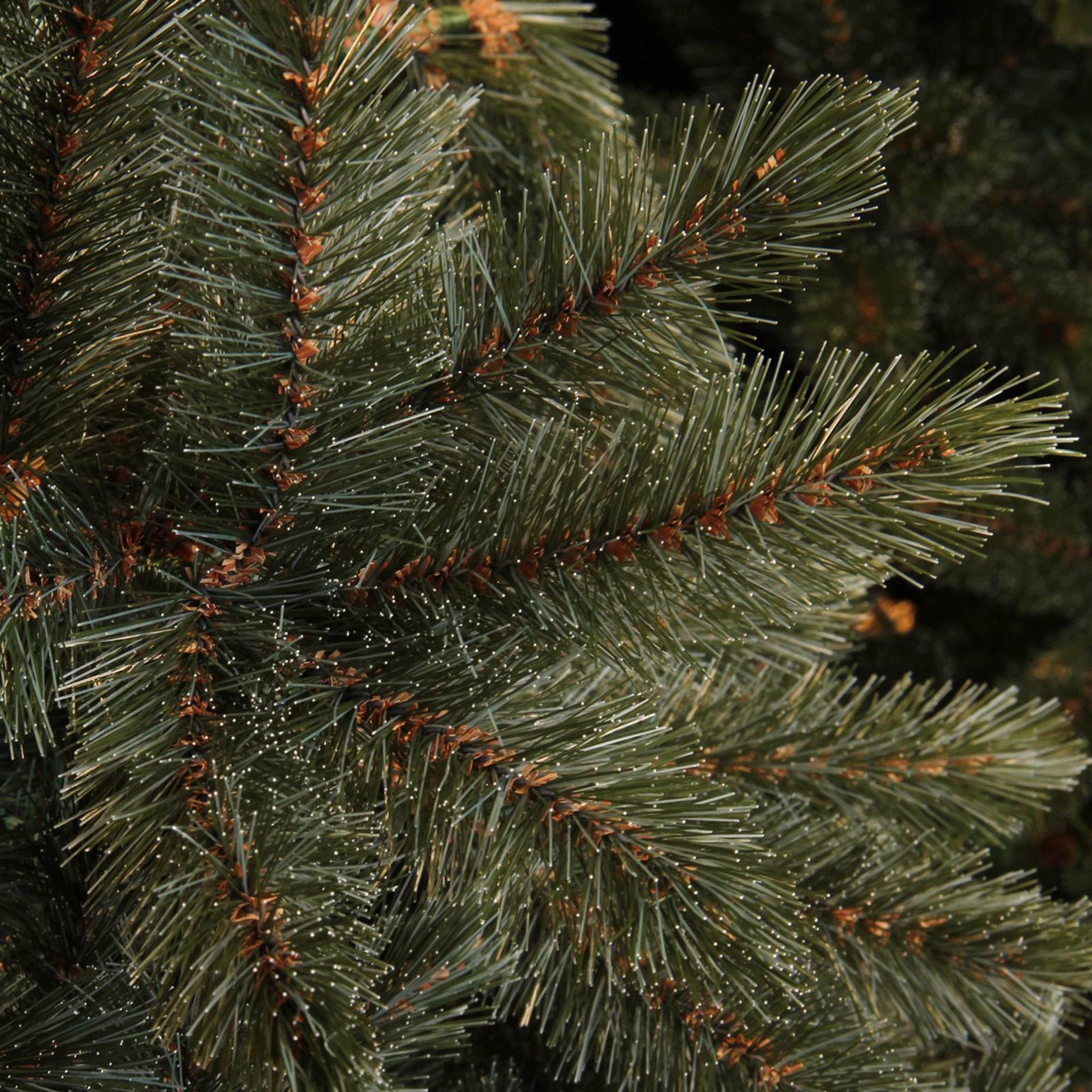 Triumph Tree kerstboom Forest Frosted (h215 x Ø140 cm) wehkamp