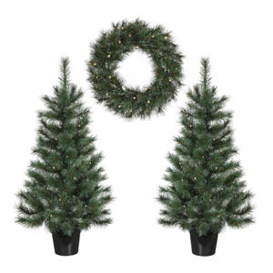 verlichte dennengroen set Glendon frosted