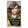L'Oréal Paris Préférence 6.0 - Donkerblond