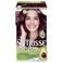 Garnier Nutrisse Ultra Crème haarkleuring -  4.6 Diep Rood Middenbruin