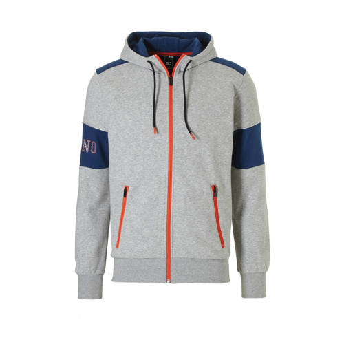 Mizuno Vest Grijs mizuno kopen in de aanbieding