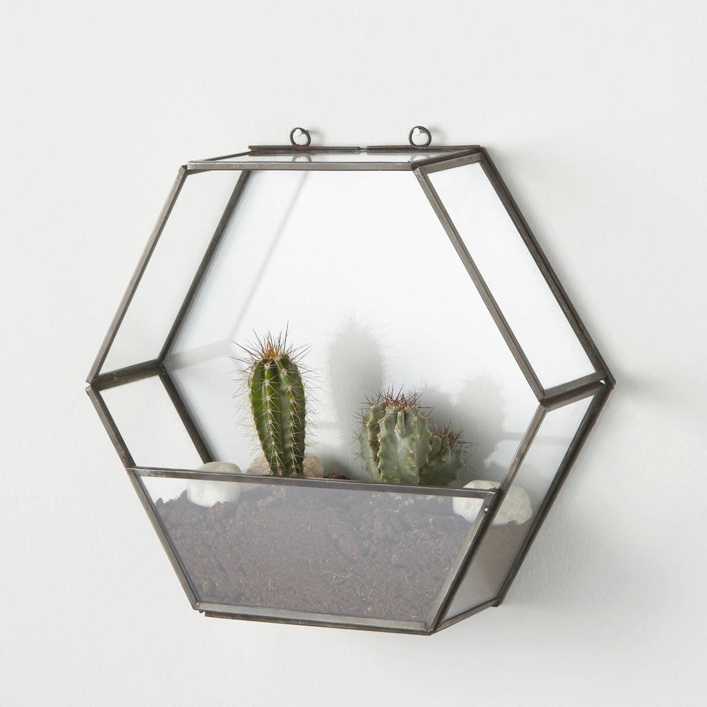 whkmp's own displaybox, Brass