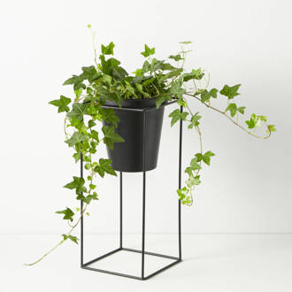 plantenstandaard