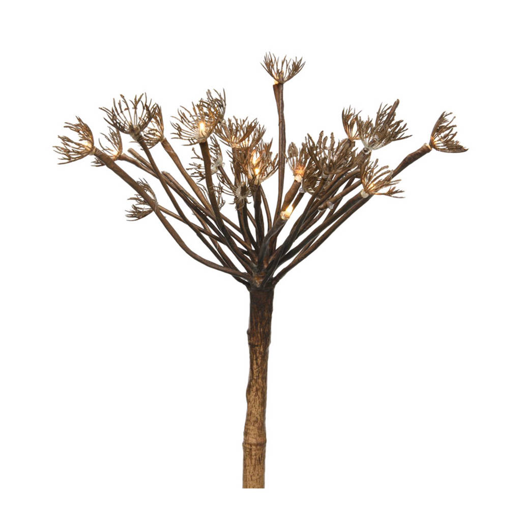 Lumineo tak met LED verlichting, Bruin