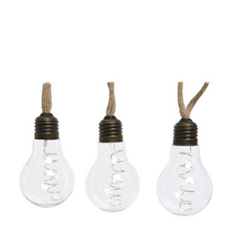 lichtsnoer gloeilampen (10 leds)