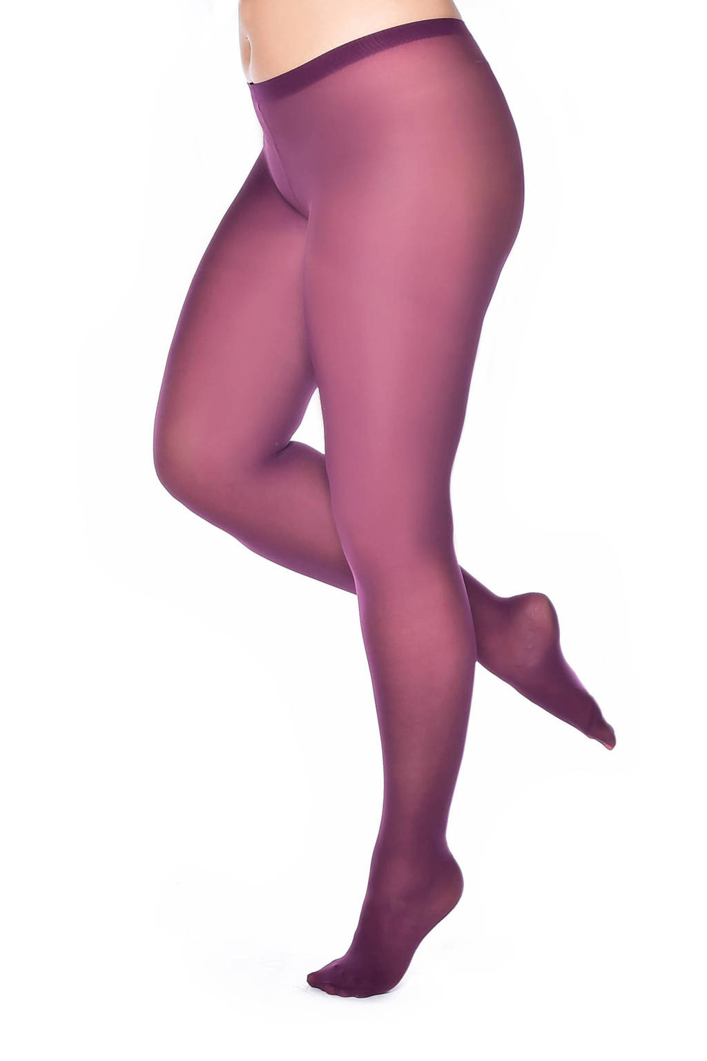 Pamela Mann Plus Size panty 50 denier paars