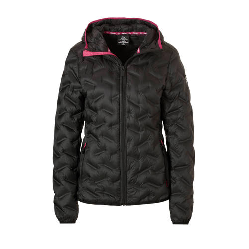 Falcon Jack Zwart falcon kopen in de aanbieding