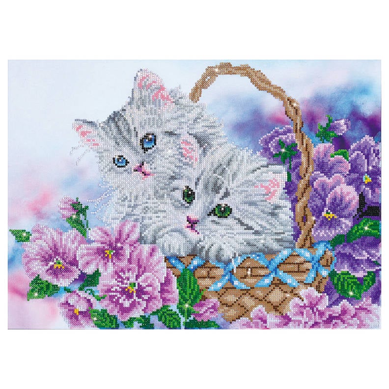 Diamond Dotz schattige kittens 52x38 cm wehkamp