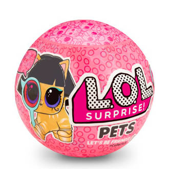 Pets Ball- series Eye Spy 2