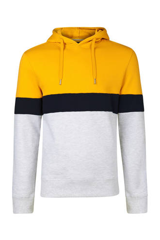 colourblock hoodie grijs