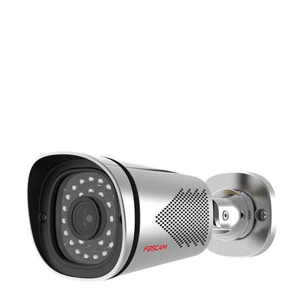 Foscam FI9900EP OUTD outdoor camera, Zilver