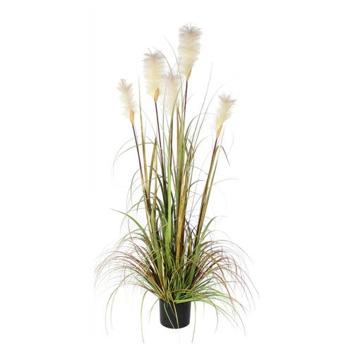 Mica Kunstplant Pluimgras H150 Cm mica kopen in de aanbieding Mica Kunstplant Pluimgras H150 Cm mica kopen in de aanbieding