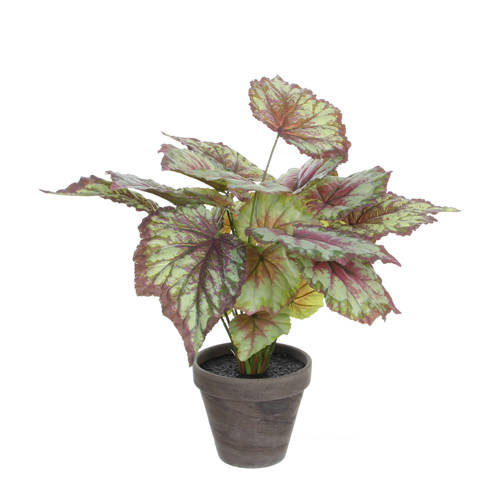 Mica Kunstplant Begonia H40 Cm mica kopen in de aanbieding Mica Kunstplant Begonia H40 Cm mica kopen in de aanbieding