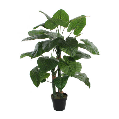 Mica Kunstplant Taro H120 Cm mica kopen in de aanbieding Mica Kunstplant Taro H120 Cm mica kopen in de aanbieding