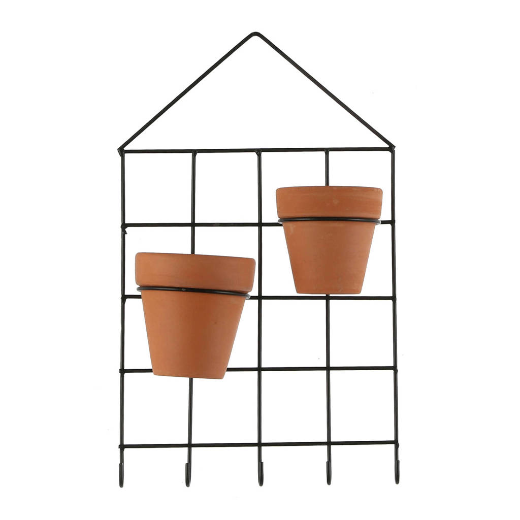 Mica muurhanger, Zwart