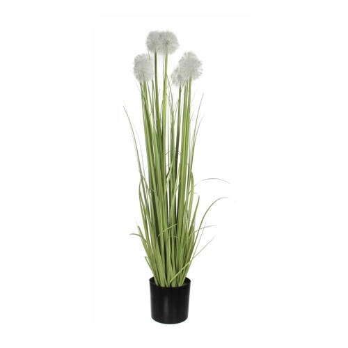 Mica Kunstplant Dandelion H138 Cm mica kopen in de aanbieding Mica Kunstplant Dandelion H138 Cm mica kopen in de aanbieding