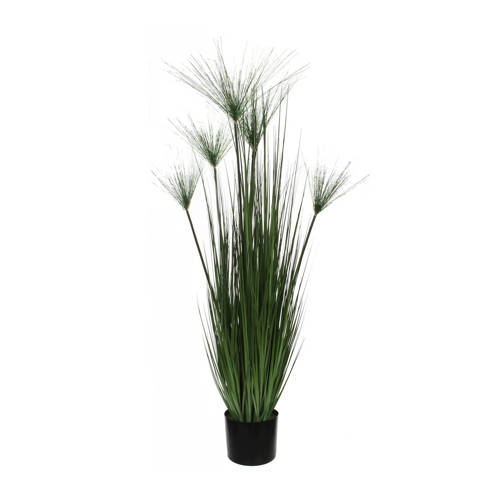 Mica Kunstplant Papyrus H127 Cm mica kopen in de aanbieding Mica Kunstplant Papyrus H127 Cm mica kopen in de aanbieding