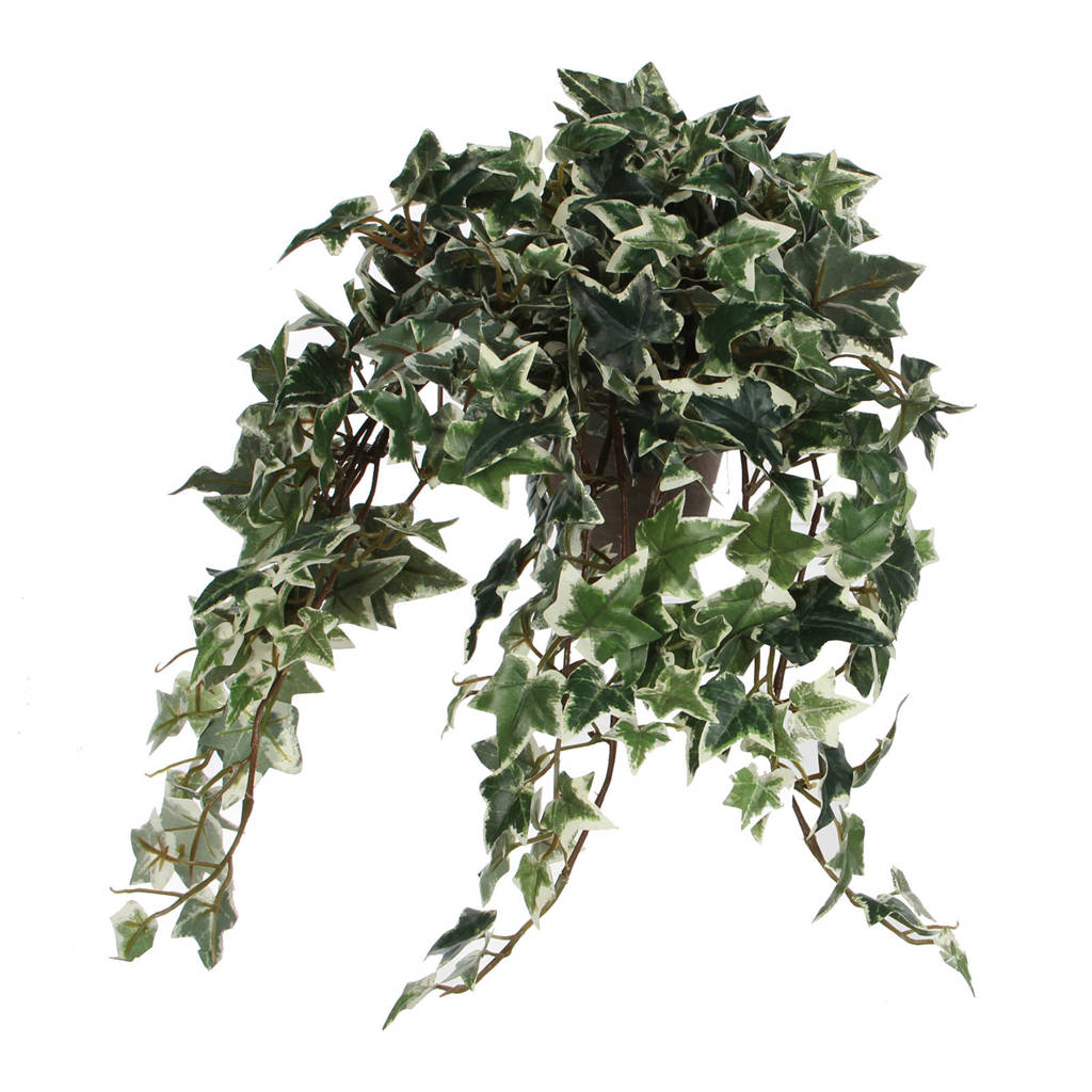 Mica kunstplant Hedera (h25 cm), Groen
