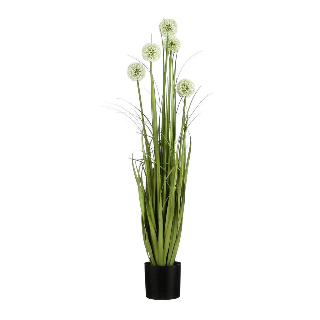 Mica kunstplant Allium (h90 cm), Groen/wit