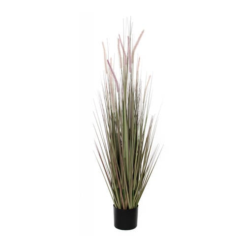 Mica Kunstplant Dogtail H150 Cm mica kopen in de aanbieding Mica Kunstplant Dogtail H150 Cm mica kopen in de aanbieding