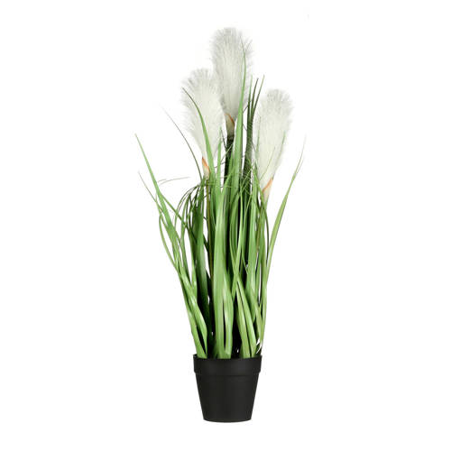 Mica Kunstplant Foxtail H53 Cm mica kopen in de aanbieding Mica Kunstplant Foxtail H53 Cm mica kopen in de aanbieding