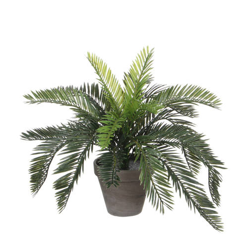 Mica Kunstplant Cycas H37 Cm mica kopen in de aanbieding Mica Kunstplant Cycas H37 Cm mica kopen in de aanbieding