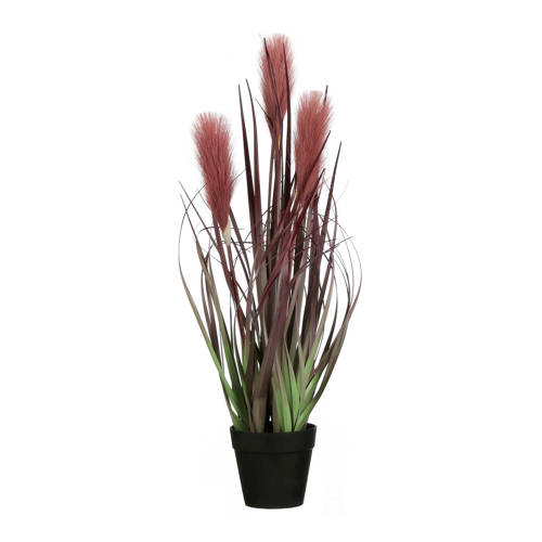 Mica Kunstplant Foxtail H53 Cm mica kopen in de aanbieding Mica Kunstplant Foxtail H53 Cm mica kopen in de aanbieding
