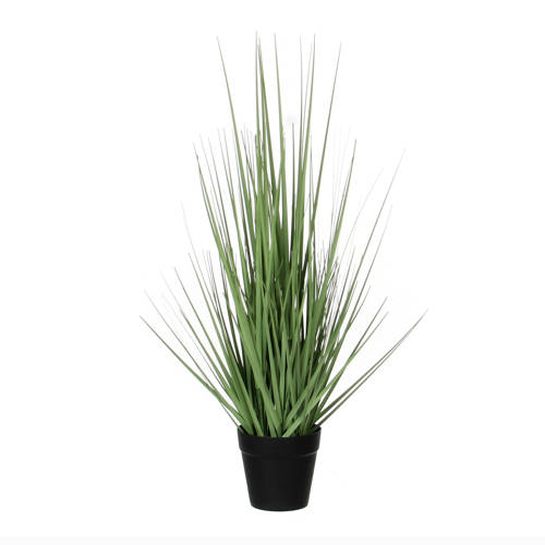 Mica Kunstplant Gras H53 Cm mica kopen in de aanbieding Mica Kunstplant Gras H53 Cm mica kopen in de aanbieding