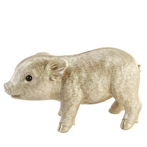 K Amsterdam Spaarpot Varken k amsterdam kopen in de aanbieding