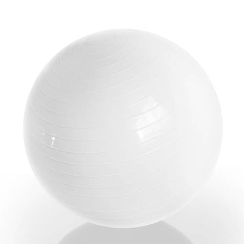 Gymstick Emotion Body Ball Met Trainingsvideos 75 gymstick kopen in de aanbieding